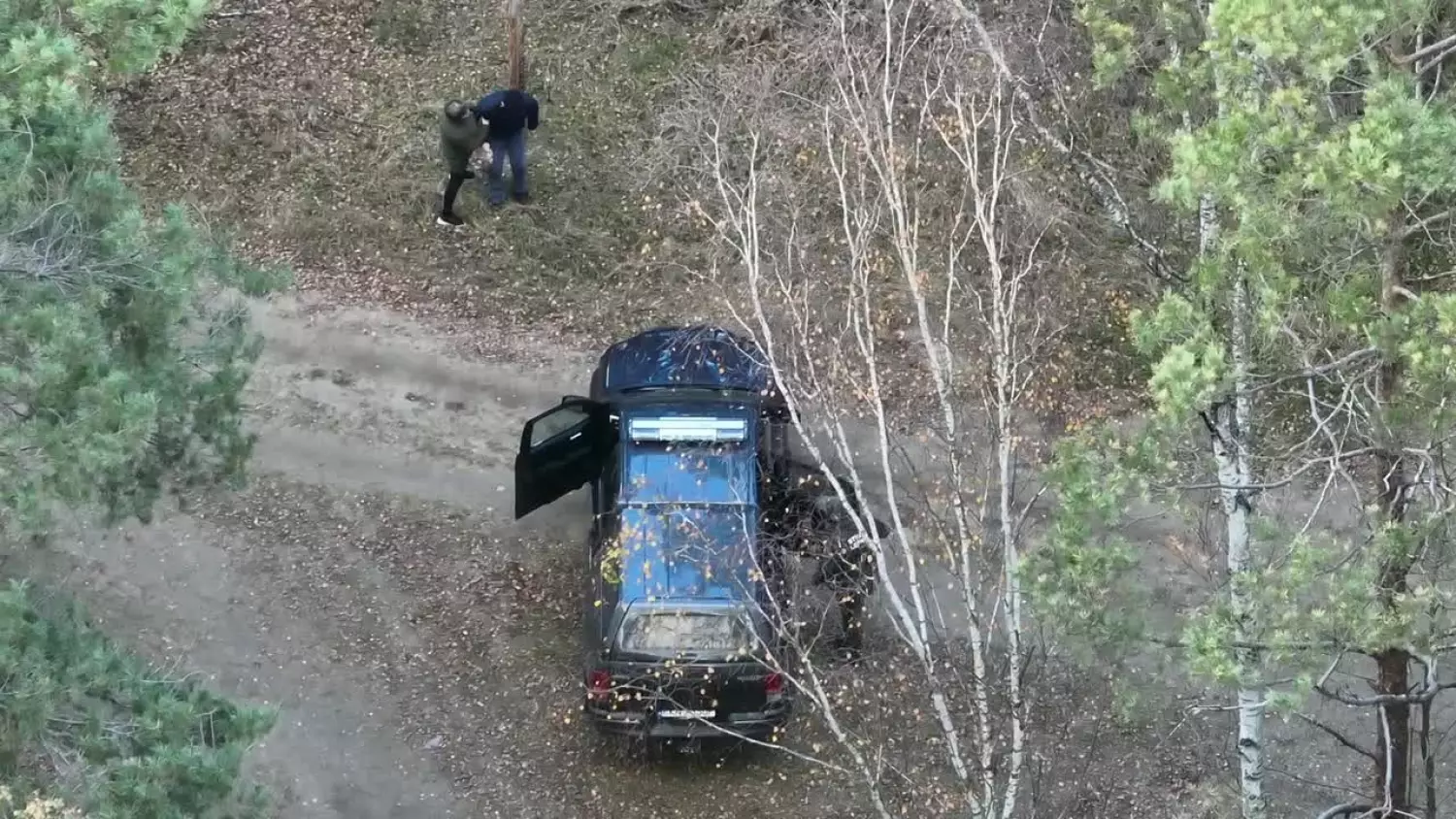 Pechowe grzybobranie. „Wyziębiony, zdezorientowany, siedzi na ziemi”