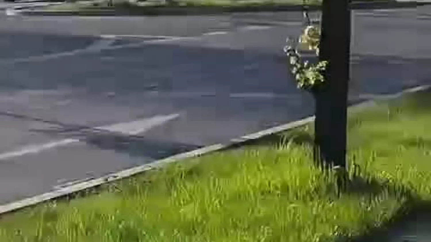 Problem z hulajnogami...