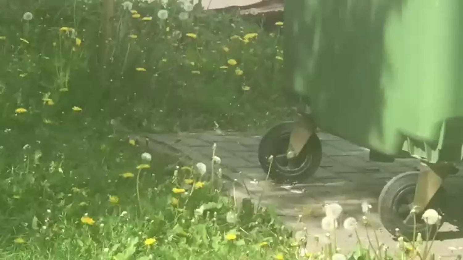 8d81040b-6083-470f-9a56-6287ceb58aeb.mp4