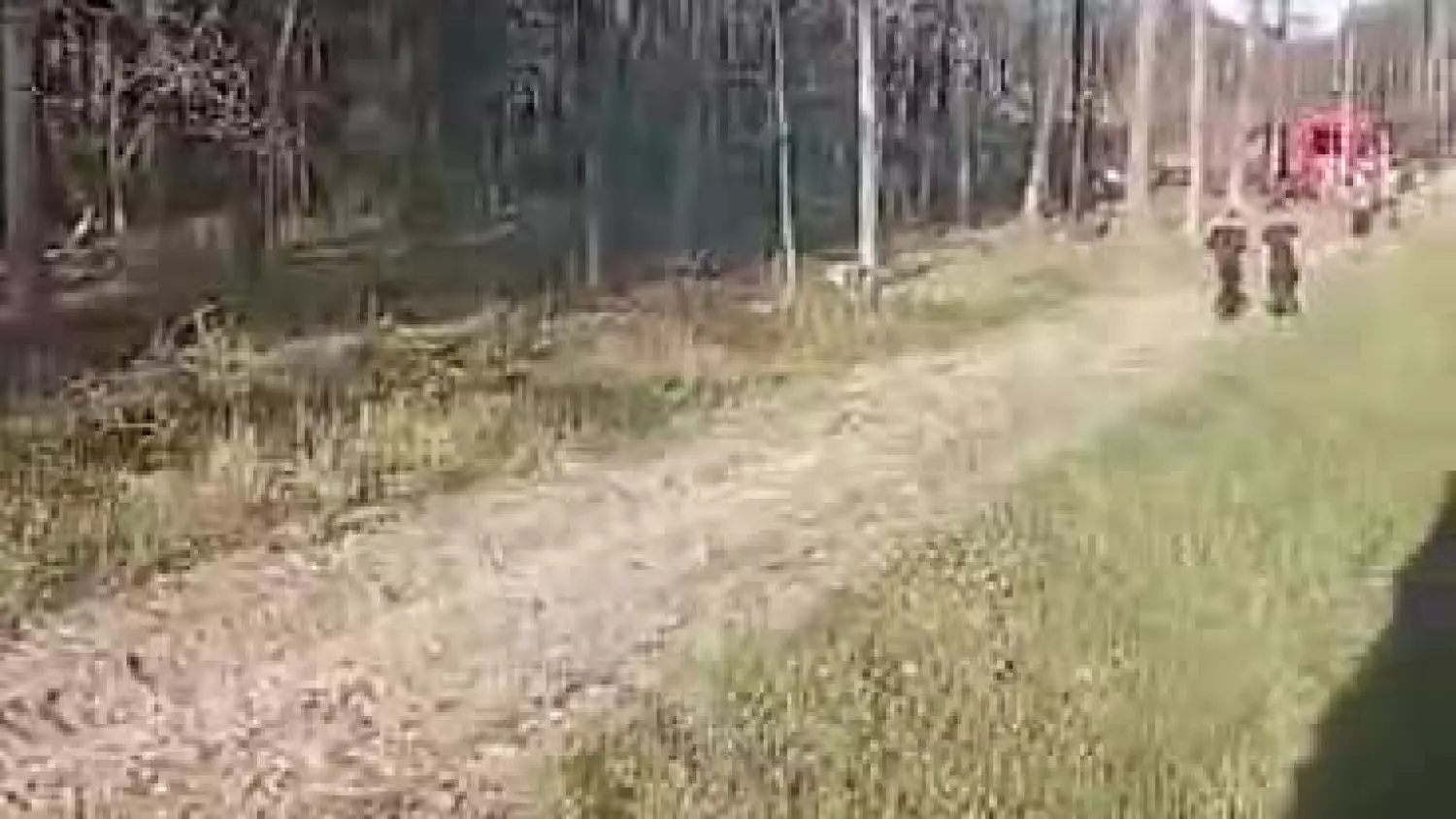 BMW pod pociąg. Ruch na kolei WSTRZYMANY